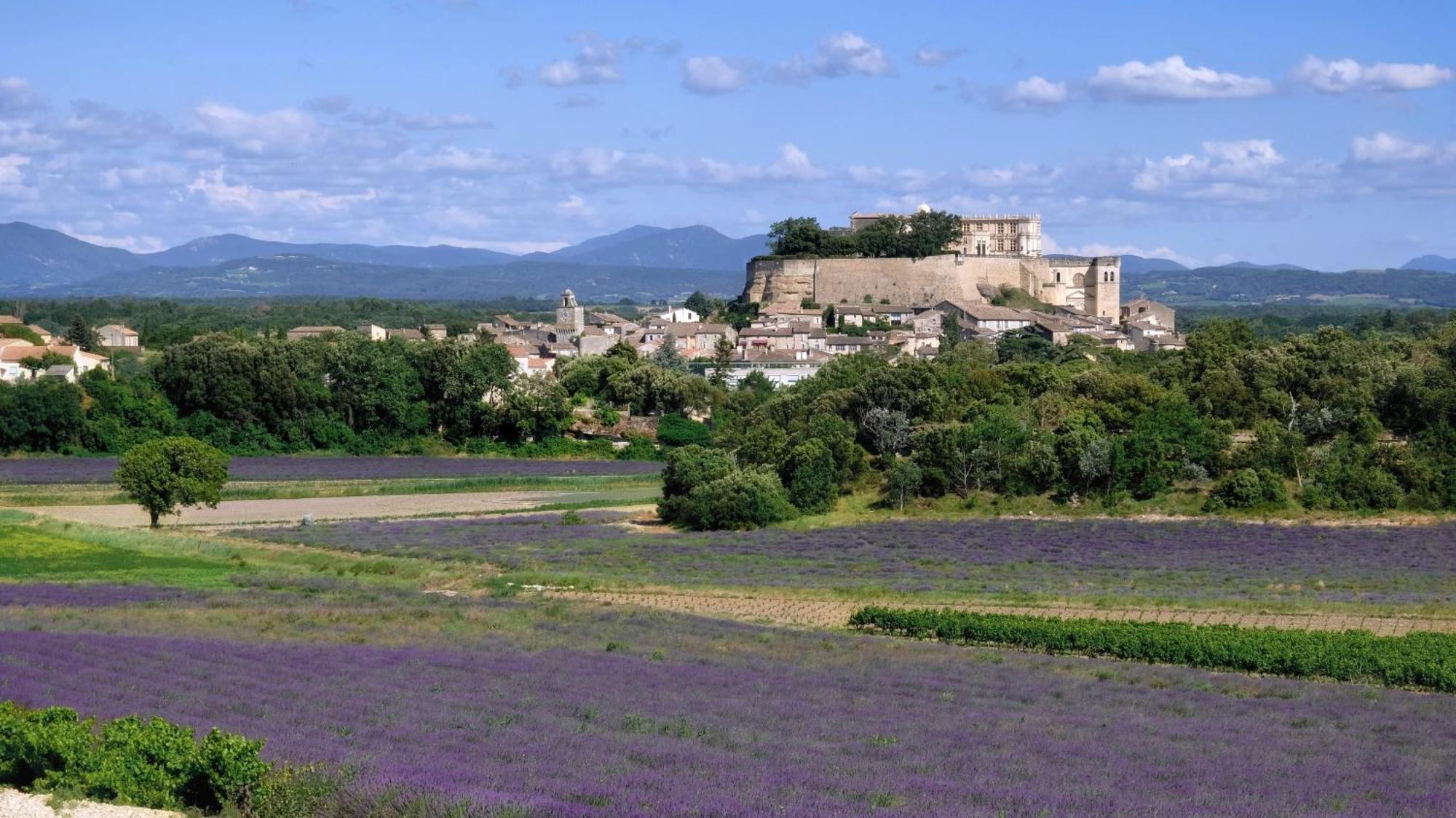 La Ferme Chapouton - Teritoria Hotel Grignan Luaran gambar